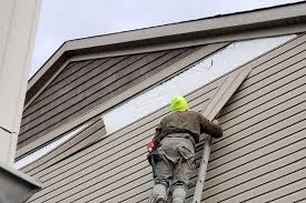 Best Fascia and Soffit Installation  in Wink, TX